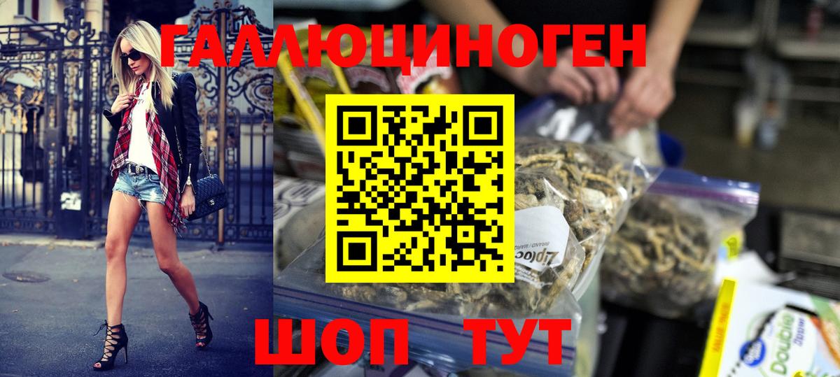 Псилоцибиновые грибы Cubensis Грозный