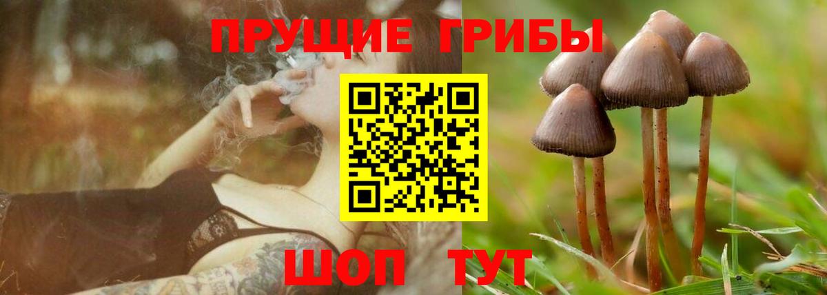 Грозный  Галлюциногенные грибы ЛСД  Вход с VPN  Галлюциногенные грибы Psilocybine cubensis 